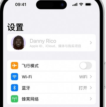 广水appleID维修服务iPhone设置中Apple ID显示为灰色无法使用