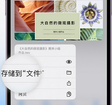 广水apple维修中心分享iPhone文件应用中存储和找到下载文件