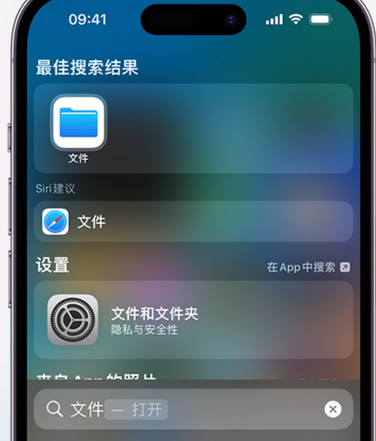 广水apple维修中心分享iPhone文件应用中存储和找到下载文件 