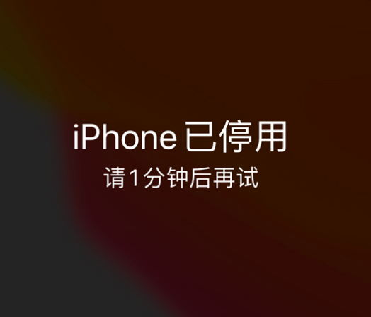 广水苹果手机维修分享:iPhone 显示“不可用”或“已停用”怎么办？还能保留数据吗？ 