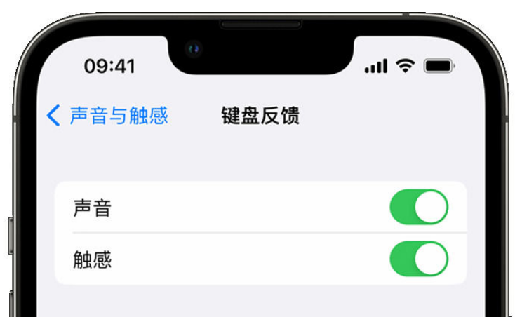 广水苹果手机维修分享iPhone 14触感键盘使用方法 