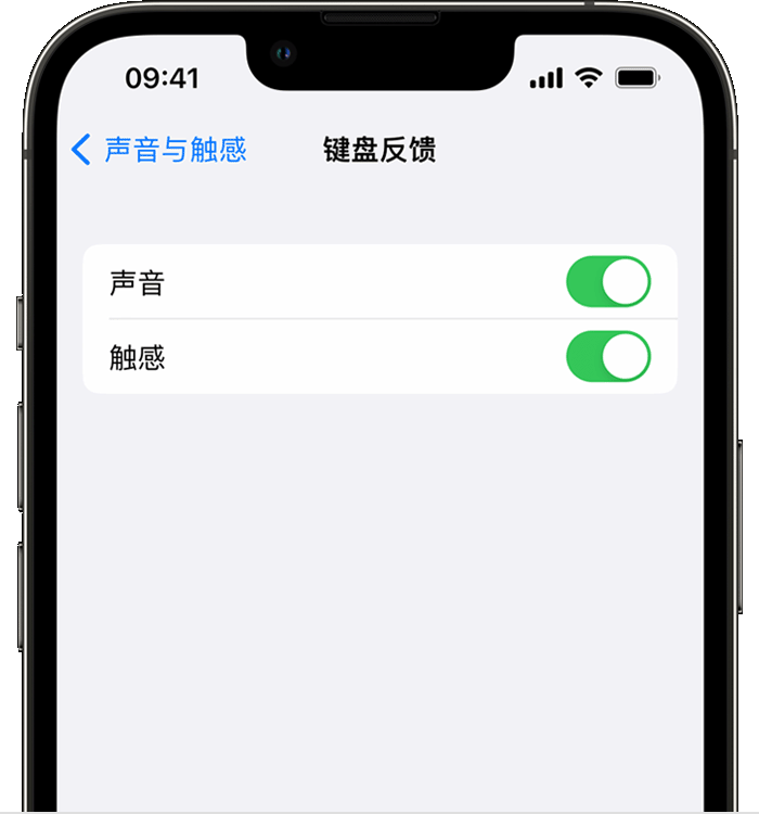 广水苹果14维修店分享如何在 iPhone 14 机型中使用触感键盘 