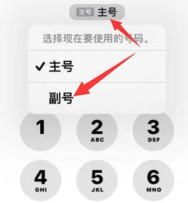 广水苹果14维修店分享iPhone 14 Pro Max使用副卡打电话的方法 