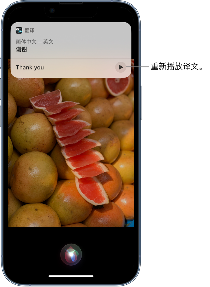 广水苹果14维修分享 iPhone 14 机型中使用 Siri：了解 Siri 能帮你做什么 