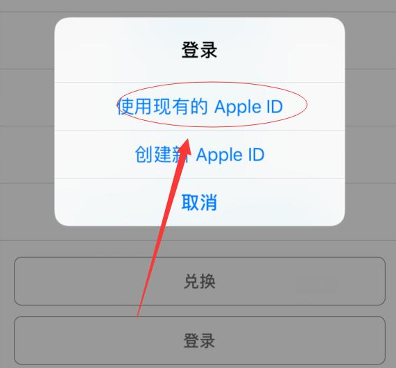 广水苹果手机维修分享两台iPhone设备可以同时登录一个Apple ID吗 