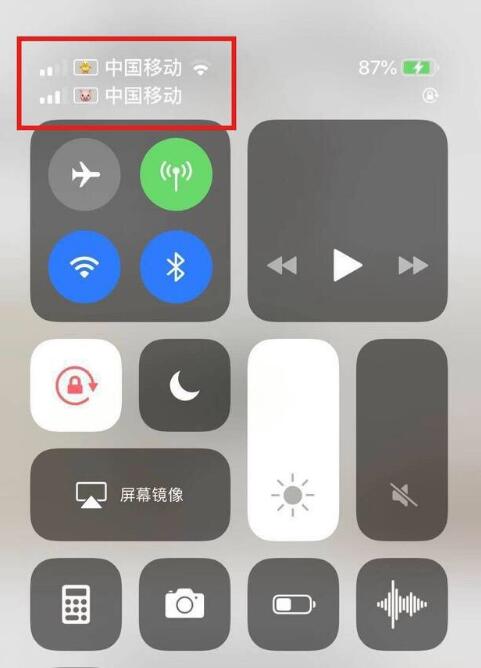 广水苹果手机维修分享为 iPhone 12 双卡设置标签 