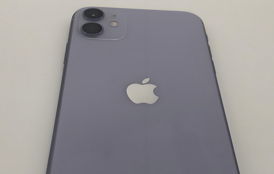 广水苹果11系统维修分享iPhone11手机系统崩溃无法开机如何解决 